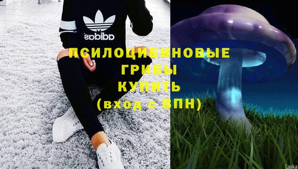 кокаин Алексеевка