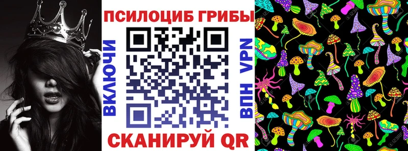 закладка  Исилькуль  Галлюциногенные грибы ЛСД 